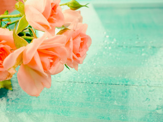 delicate roses on a blue background with raindrops, the concept of romance and lightness