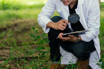 Biologist in white coat holding document in front of examining plants for disease . Plant protection concept.
