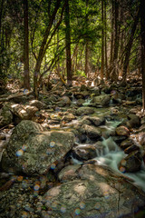 Water flowing over rocks in a forest below Bridelveil Falls in Yosemite National Park, California.