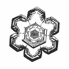 Black snowflake on white background. This vector illustration based on macro photo of real snow crystal: small star plate with simple hexagonal shape and unusually complex inner pattern for such size.