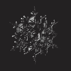 This vector illustration based on macro photo of real snowflake: large stellar dendrite snow crystal with six broad arms, complex internal structure and glossy relief surface.