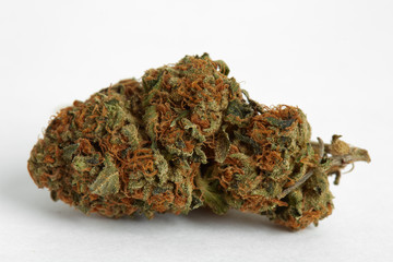 Close up of prescription and recreational indica medical marijuana isolated on monochrome background