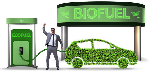 Concept of bio fuel and ecology preservation