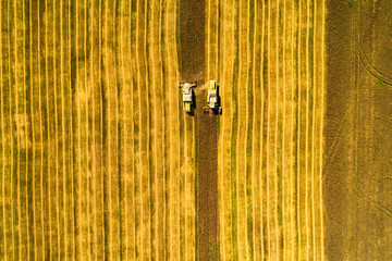 Aerial top view shot of two combine harvester next to each other harvesting wheat field on a sunny summer day