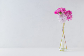 Fototapeta na wymiar Pink flowers in a vase on a light background