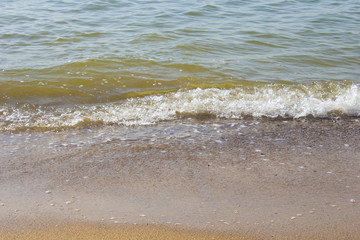Soft wave of the sea on the sandy beach