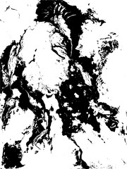 Fototapeta premium Black and white liquid texture.Grunge Vector Background.