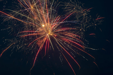 Fireworks exploding on the 4th of July celebration.