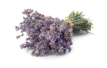 Beautiful blooming lavender flowers on white background
