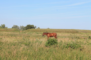 Russia nature landscape photography. Autumn sunset, outdoor nature of Russia. Fantastic sunset over lake near green meadow. Autumn nature sunset, Russia.