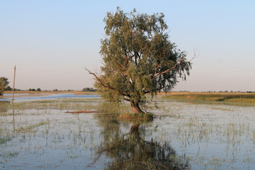 Russia nature landscape photography. Autumn sunset, outdoor nature of Russia. Fantastic sunset over lake near green meadow. Autumn nature sunset, Russia.