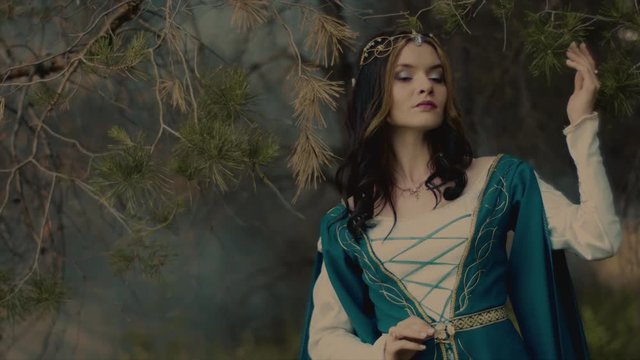 Portrait of mysterious elvish queen taking a walk in a forest. Old and beautiful clothes. Shining crown. Charming female model in woods. Tree branches.