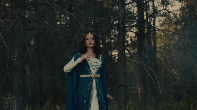 Stunning woman dressed as a queen wandering in the forest in morning. Wearing fictional character clothes. Queen of elfs.