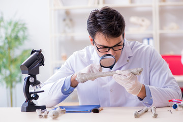 Professor studying human skeleton in lab