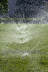 automatic sprinkler system watering the lawn on a background of green grass
