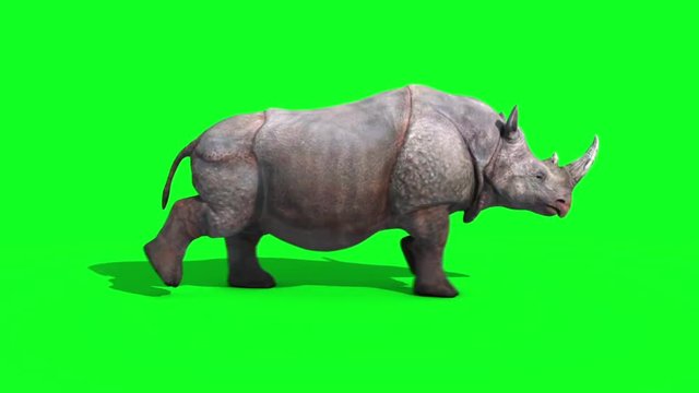 Rhinoceros Runcycle Side Green Screen Loop 3D Renderings Animations Animals