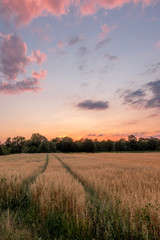 Fototapeta premium Abendstimmung 