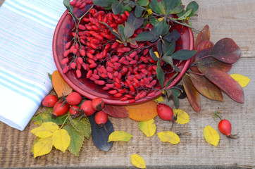 Full Cup of barberry berries on wooden boards in autumn assorted leaves and berries 