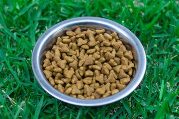 dry cat food in a metal bowl on grass