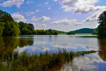 Little Mulberry Park, GA Lake Reflection