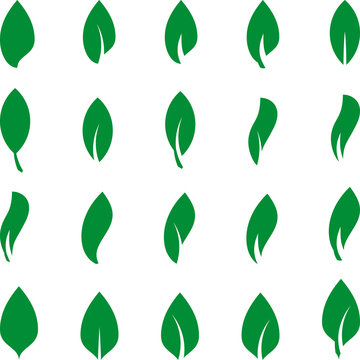 Grüne Blätter Sammlung, Icon, green leaves collection