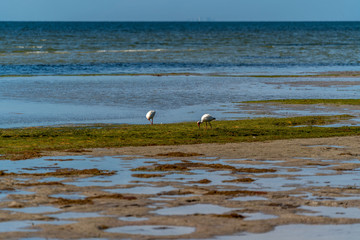 A park on Tampa Bay shows some incredible views of the water.