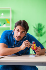 Doctor student explaining heart problems