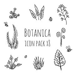 Isolated floral icons. Vector monochrome illustration of plants, mushrooms and insects on light background. Original hand-drawn set. EPS10.