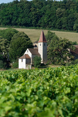 Fototapeta na wymiar petite église de campagne avec vigne au premier plan et verdure en arrière plan