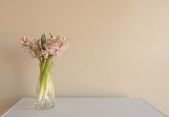 Close up of soft pink hyacinths in glass vase on white table against beige wall (selective focus)