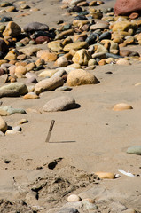 Fototapeta na wymiar A lone machete stuck in the sand of a rocky beach in Puerto Vallarta, Mexico