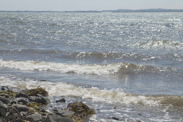 Waves breaking on the shore of Strangford Lough