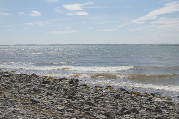 Shoreline of Strangford Lough
