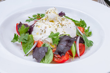 Salad with buratta cheese