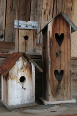 Bird Houses 1