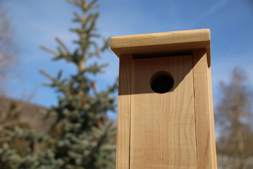 Birdhouse
