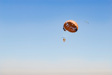 People are gliding using a parachute on the background of the blue sky. Copy space. Beach entertainment concept.