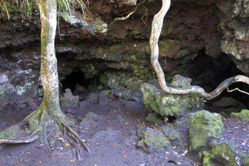 Underground caves in Rangitoto Island New Zealand