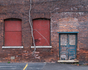 Arbre poussant dans ancien bâtiment du Buffalo