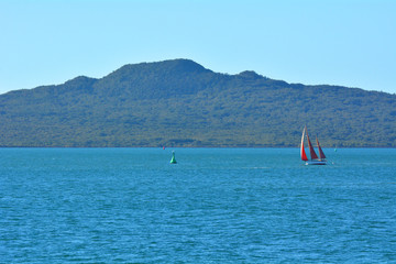 Fototapeta na wymiar Sail boat yacht sailing near Rangitoto Island New Zealand