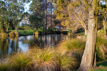 The afternoon sun casts a golden glow over the trees and shrubs lining the river