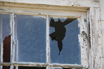 Broken Window Pane