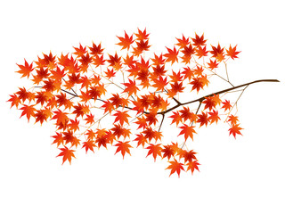 紅葉　葉　秋　アイコン