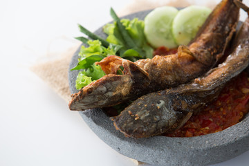 traditional indonesian culinary food pecel lele