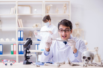 Fototapeta na wymiar Professor studying human skeleton in lab