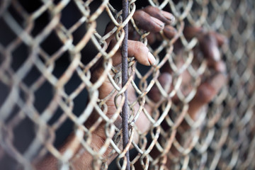 hands of prisoner in jail background.