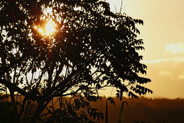 por do sol minas gerais ribeirao de sao domingos