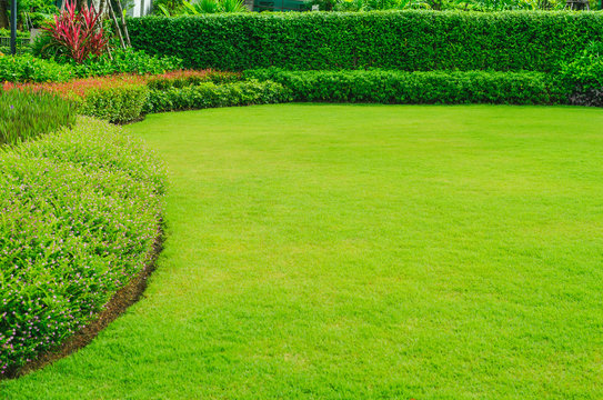 Fresh cut lawn hotsell
