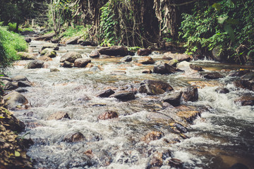 Waterfall in the forest