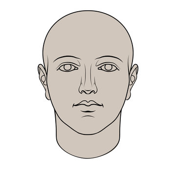 Hand drawn androgynous, gender-neutral human head in face. Colorable flat vector isolated on white background.